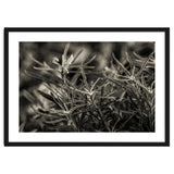 Rosemary Plant thumbnail