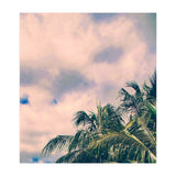 Tropical Like Kerala (Print Only) thumbnail