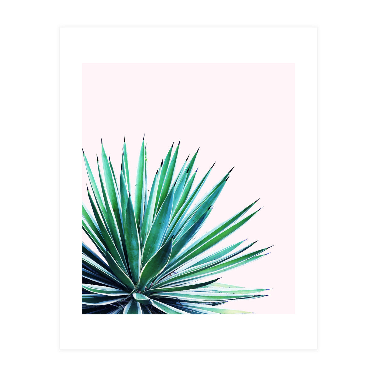 Agave Love #society6 #decor #buyart (Print Only)