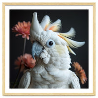 Beautiful Cockatoo Parrot With Yellow Crest