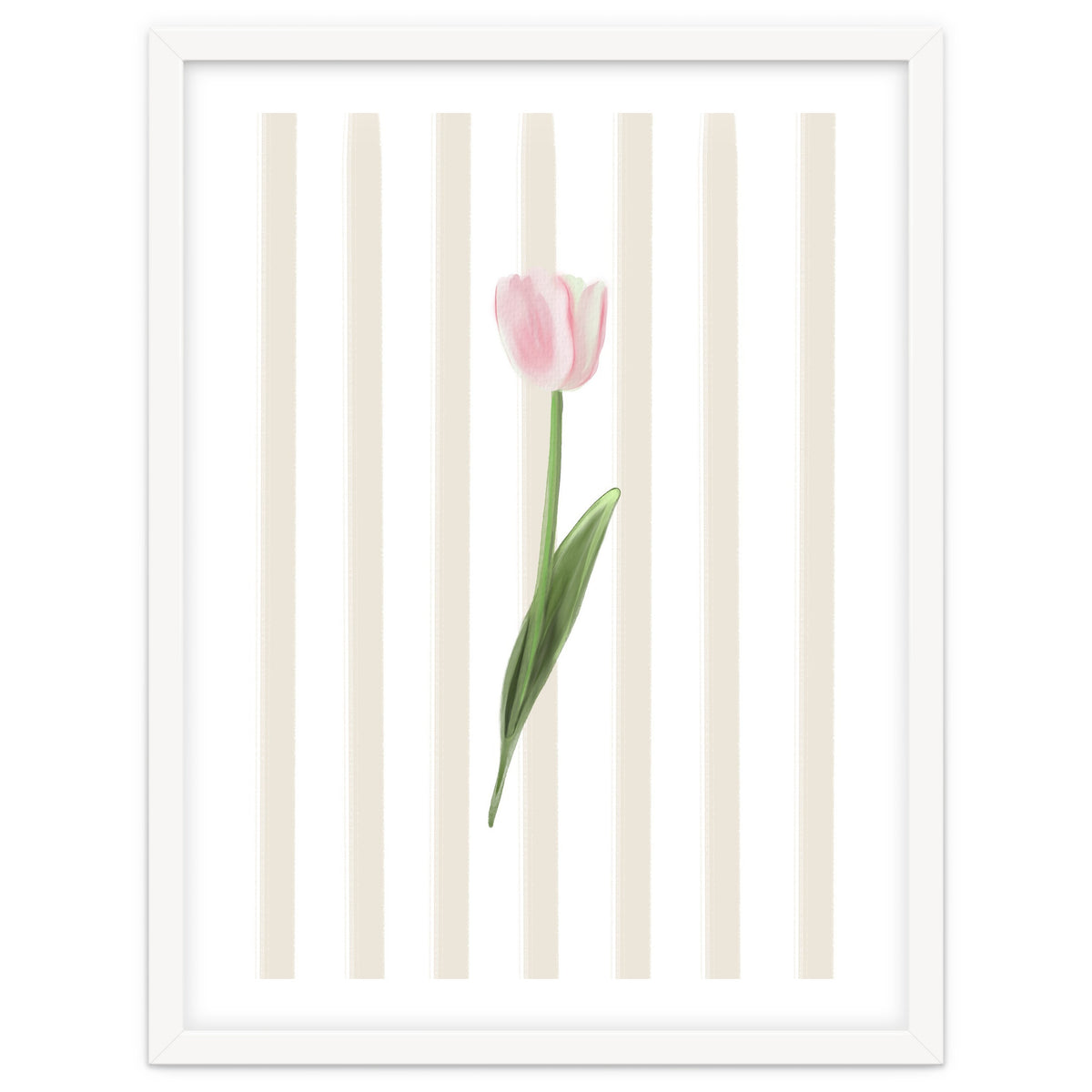Single Tulip