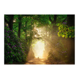 Hare in paradise (Print Only) thumbnail