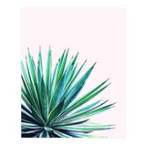 Agave Love #society6 #decor #buyart (Print Only) thumbnail