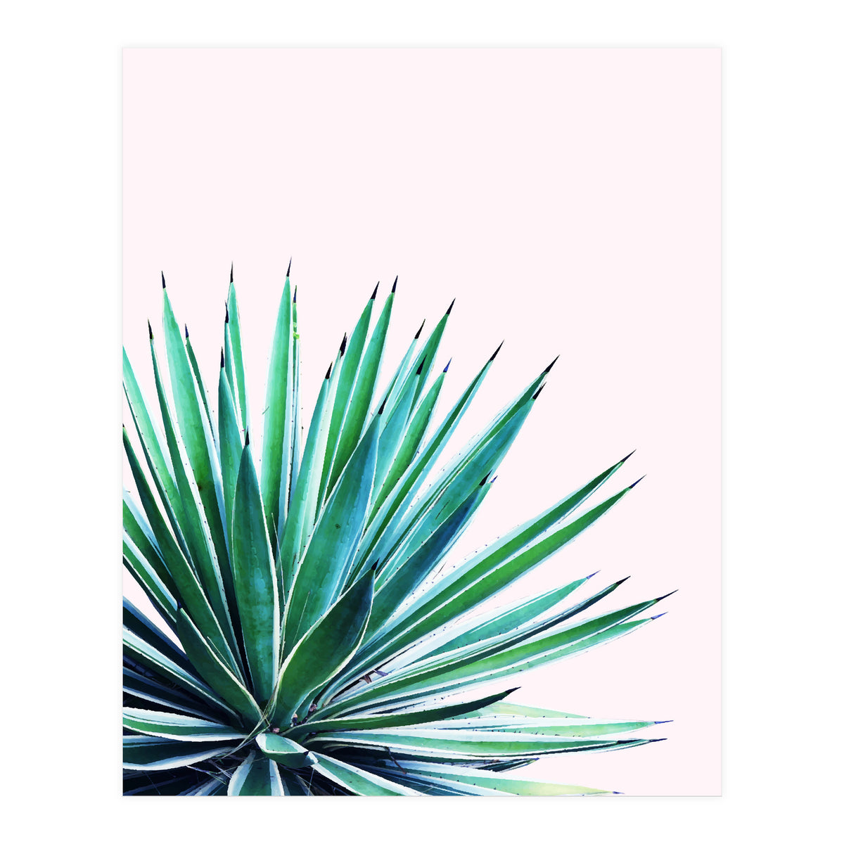 Agave Love #society6 #decor #buyart (Print Only)