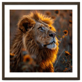 Majestic Lion In A Field Of Sunflowers thumbnail