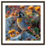 Bird Perched On A Rock With Flowers thumbnail