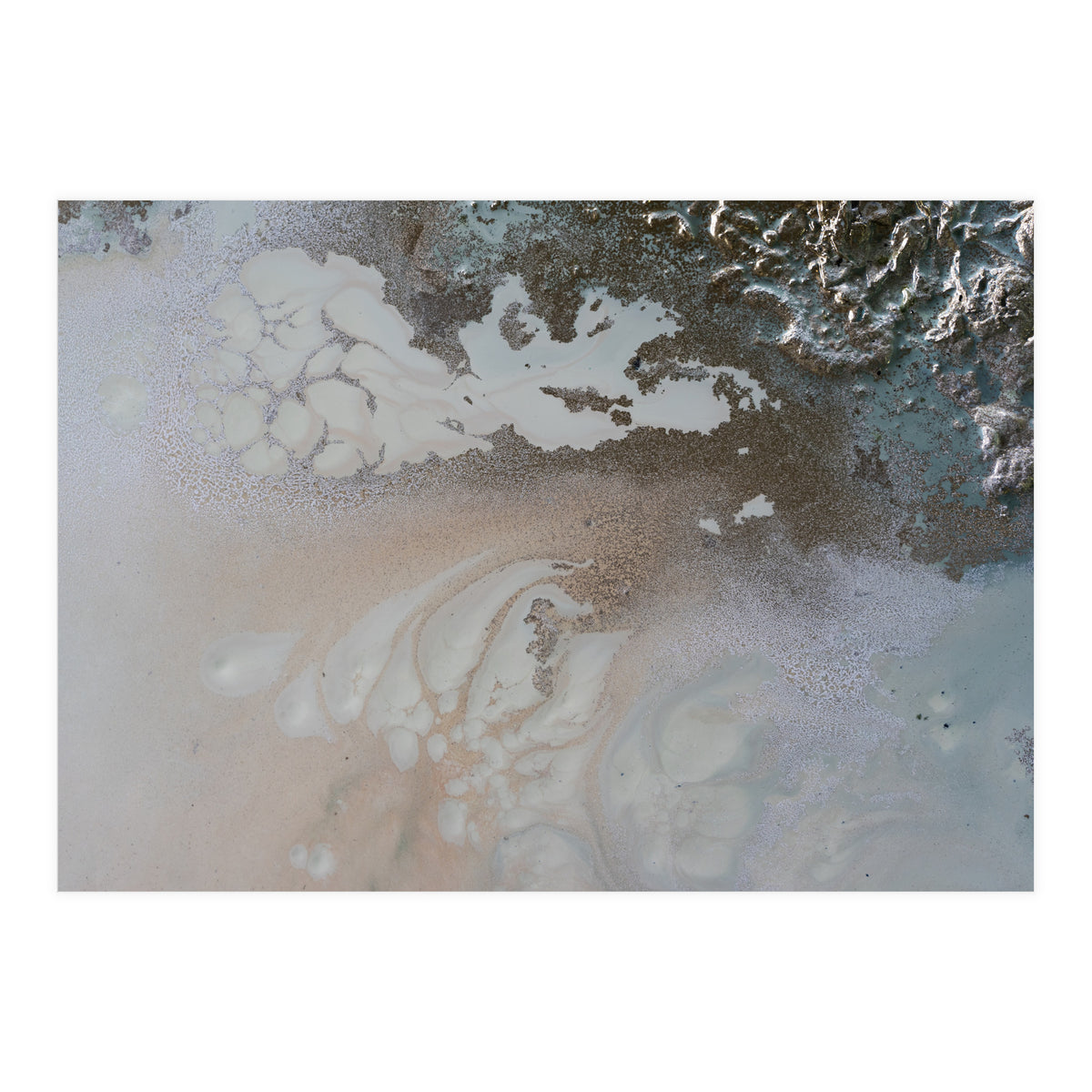 Life Unfolding (Print Only)