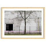 A tree in front of the wall thumbnail
