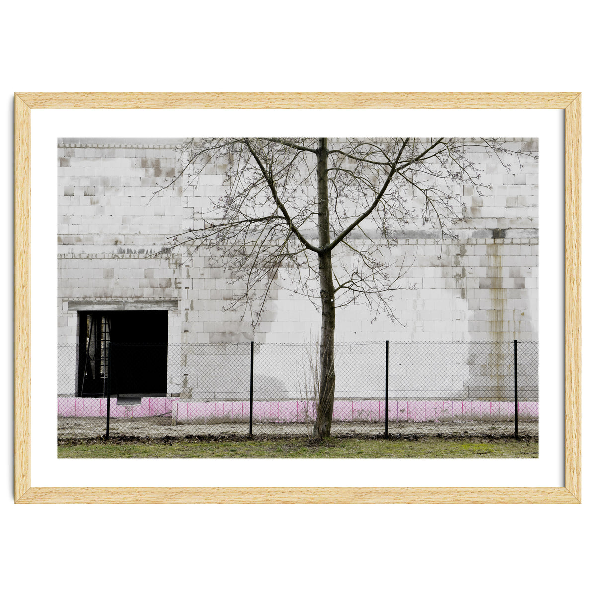 A tree in front of the wall