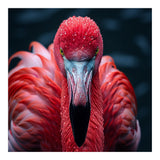 Close Up Flamingo Face With Water Droplets (Print Only) thumbnail