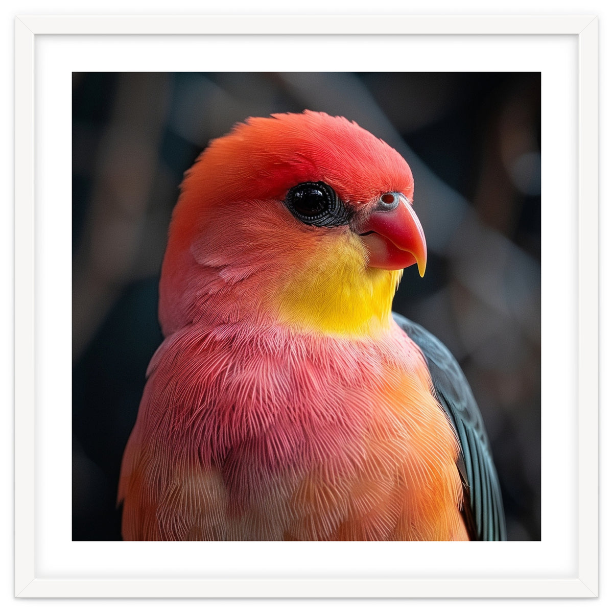 Vibrant Tropical Bird