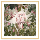 Pink Parrots Exotic Rainforest thumbnail