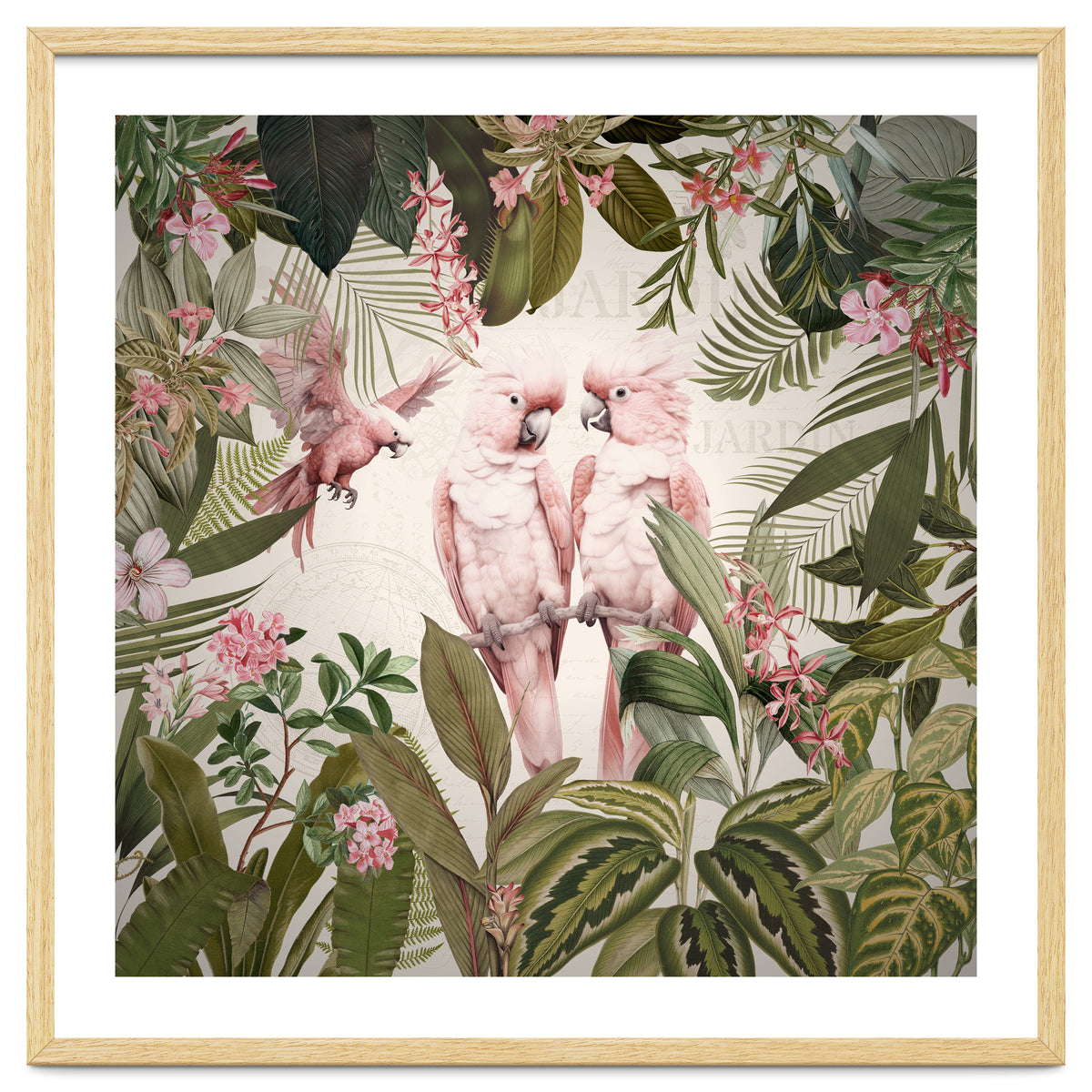 Pink Parrots Exotic Rainforest