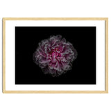Backyard Flowers No 116 Color Version thumbnail