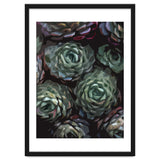 Succulent Plant Ii thumbnail