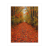 Lush Autumn Forest Path Covered (Print Only) thumbnail