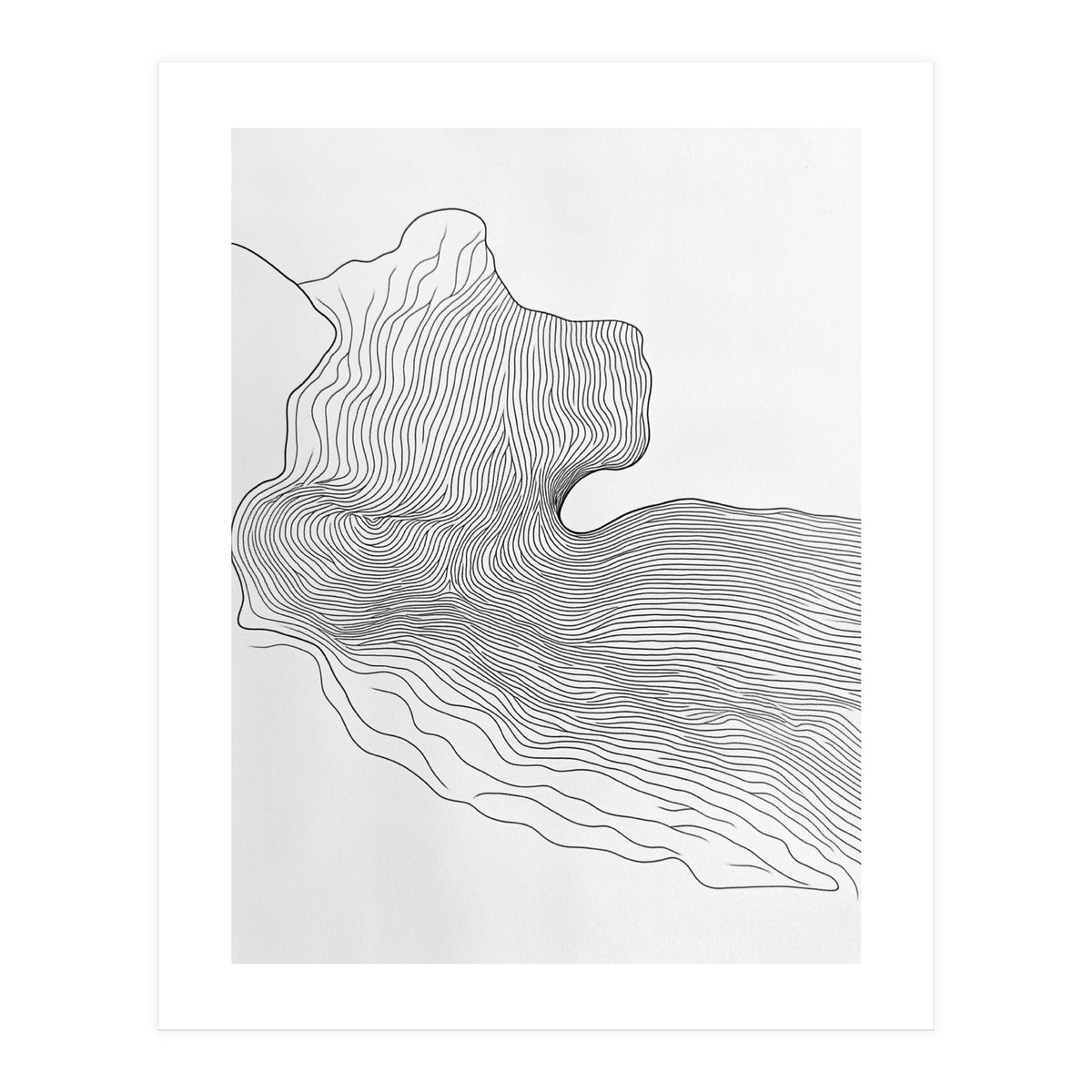 Abstract Black And White Organic Flowing Lines Pattern (Print Only)
