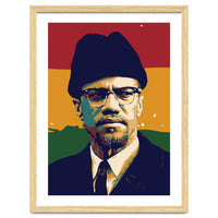 Malcolm X v2