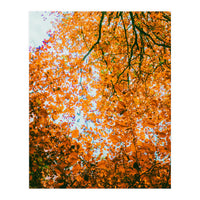 Autumn Leaves (Print Only)