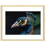 Close-up of a Peacock’s Head thumbnail