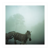 Silence of breath - 16 (Print Only) thumbnail