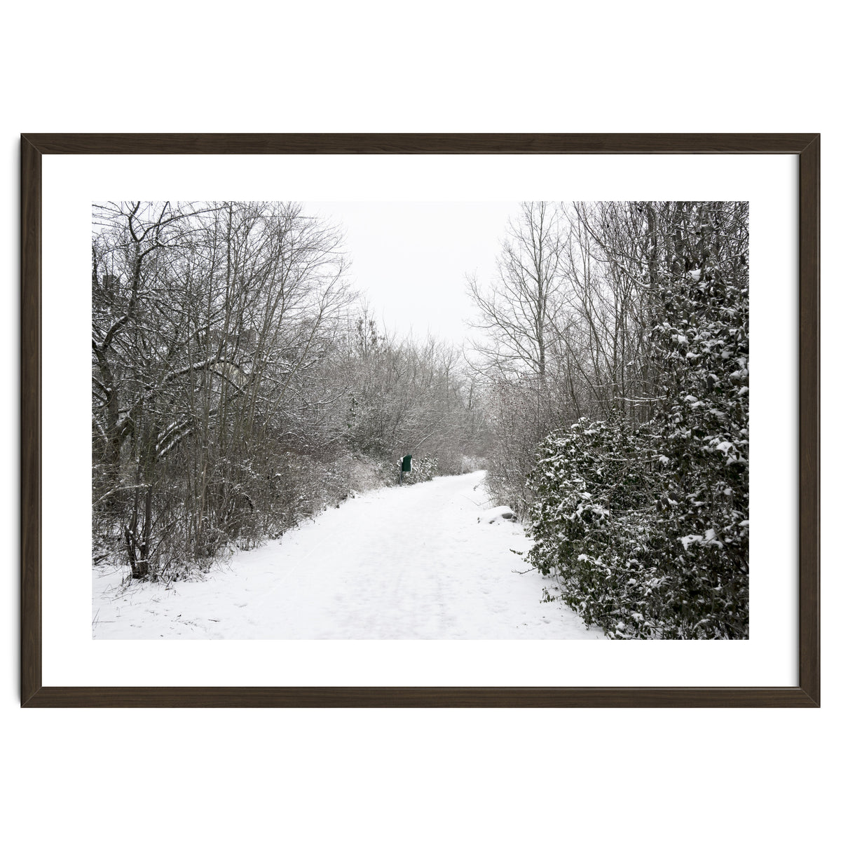 Walking through the snow park