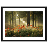 The poppy forest thumbnail