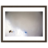 The Little Prince thumbnail