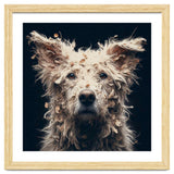 Old Dog 06 thumbnail