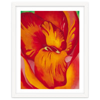 Georgia O’Keeffe – Canna Red and Orange (1926) | Vibrant Modernist Floral Painting in Bold Organic Forms