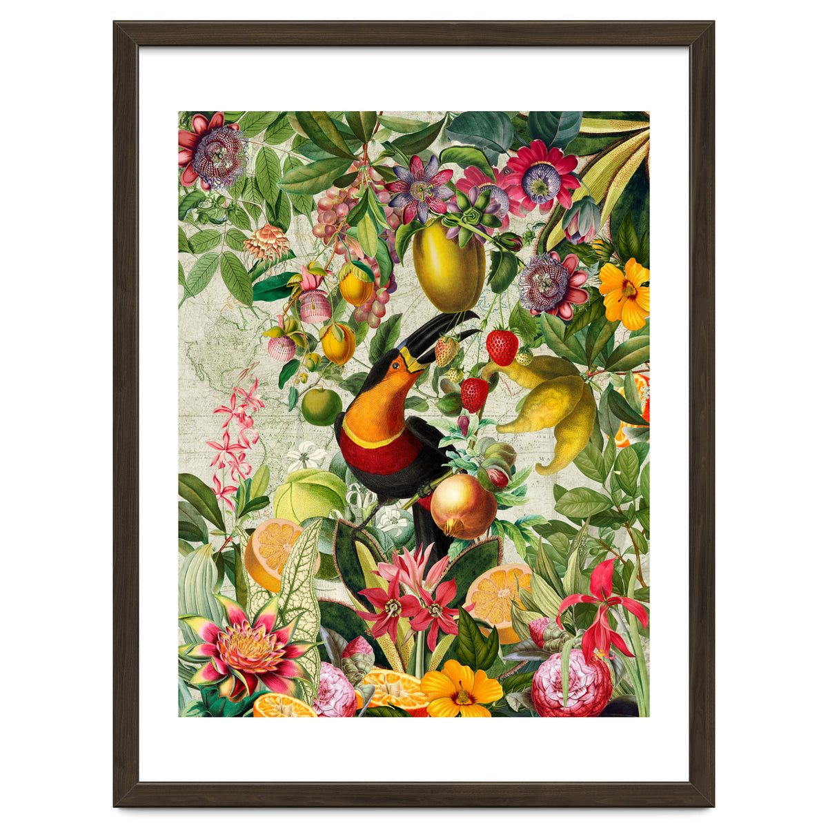 Toucan vintage jungle 1