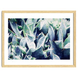 Cactus Garden thumbnail