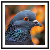 Close Up Of A Pigeon's Head And Neck thumbnail