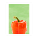 Red Bell Pepper, Fresh Kitchen Art, Capsicum Chilli (Print Only) thumbnail