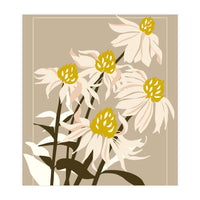 Flower Market Los Angeles Echinacea (Print Only)