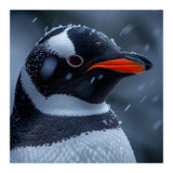 Close Up Penguin Portrait In Snowy Weather (Print Only) thumbnail