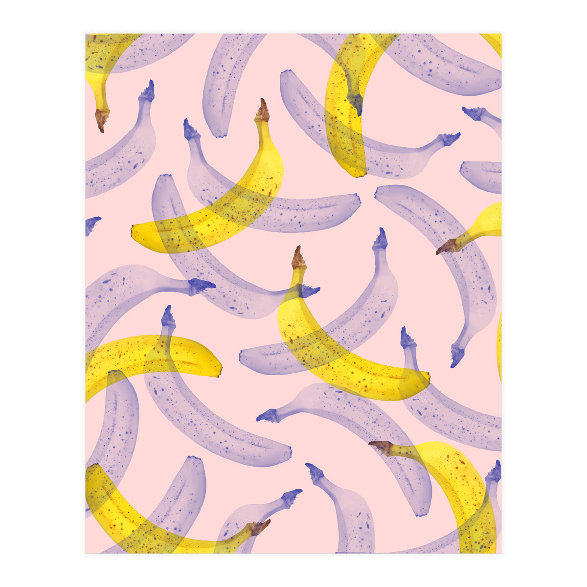 Banana Under Scrutiny (Print Only)