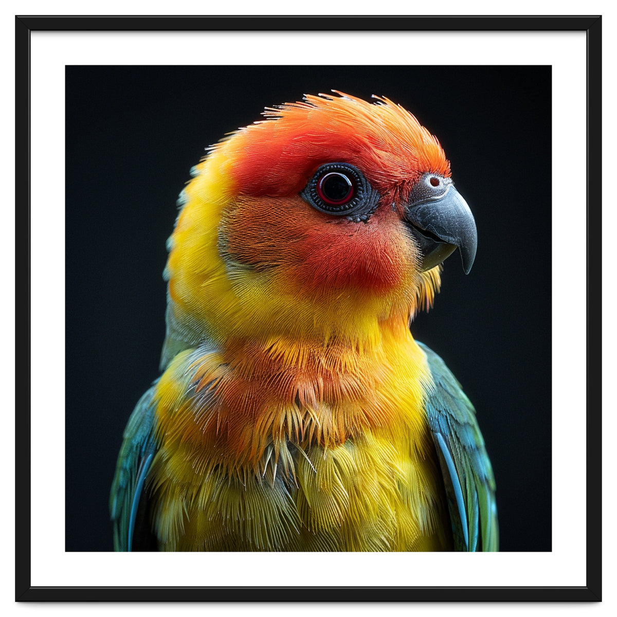 Vibrant Sun Conure Parrot Close Up Portrait
