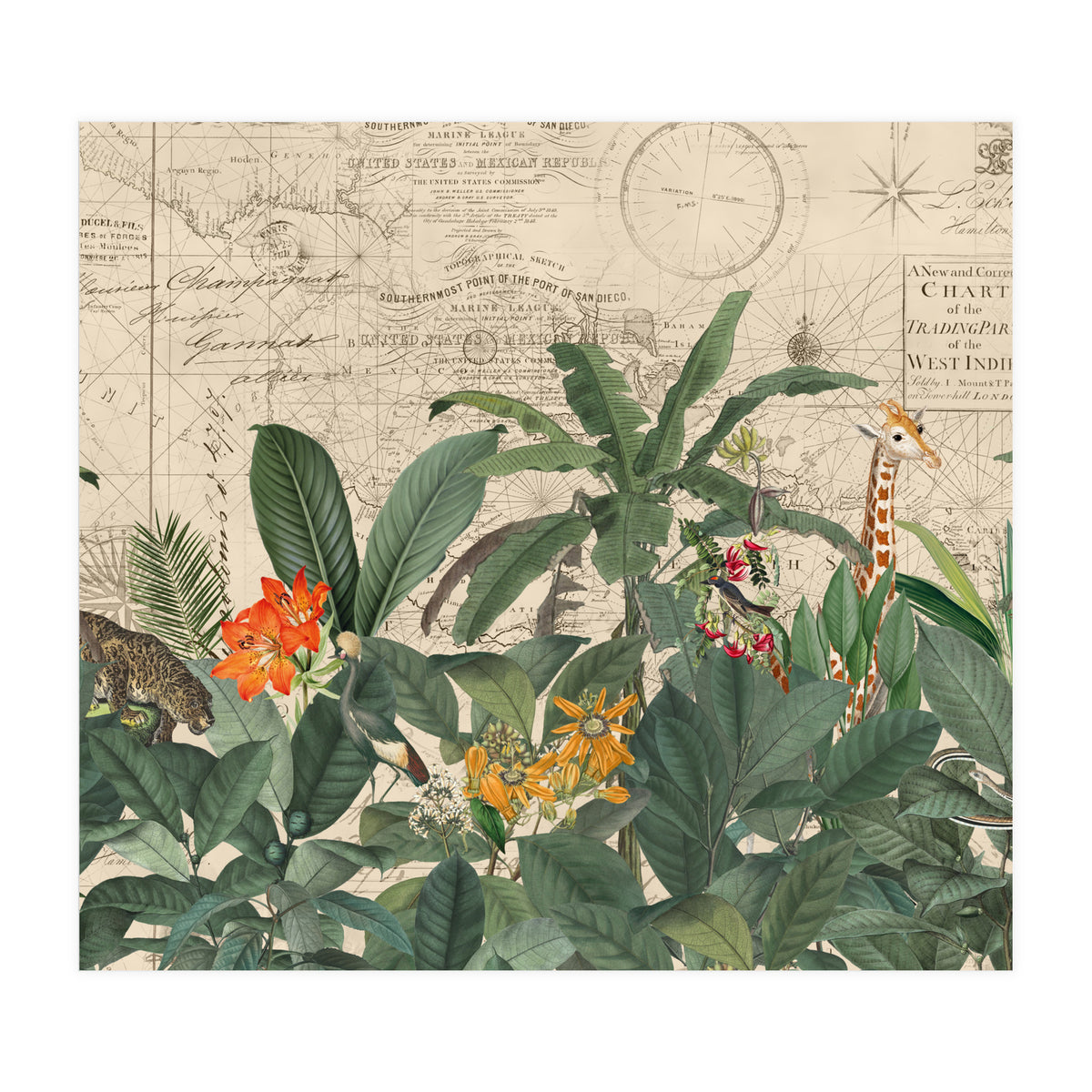 Explore The New World Wild Animals (Print Only)