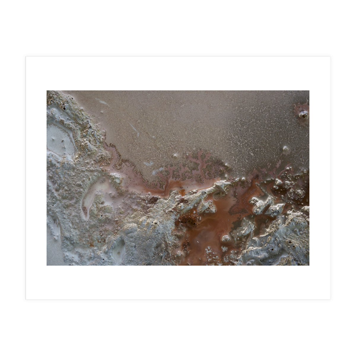 Resilience (Print Only)