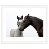 Two Horses thumbnail