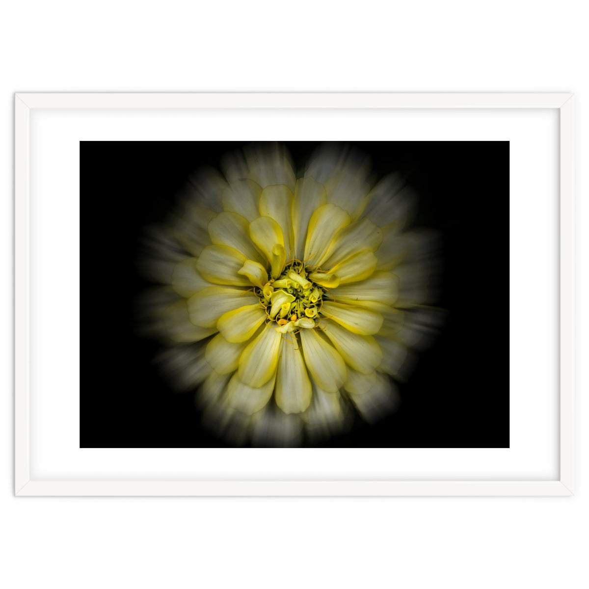 Backyard Flowers No 86 Color Flow Version