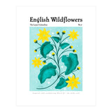 English Wildflowers | Lesser Celandine (Print Only) thumbnail