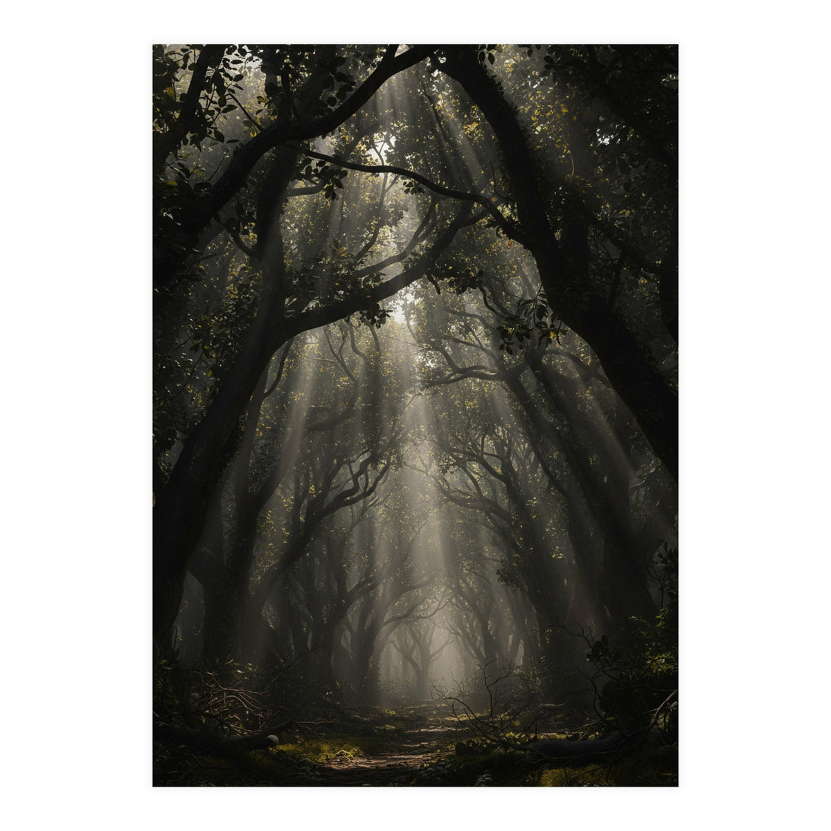 Enchanted Canopy: Mystical Forest Path (Print Only)