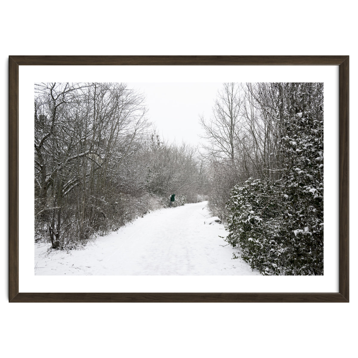 Walking through the snow park