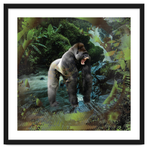 Gorilla