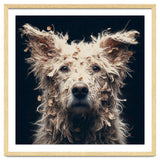 Old Dog 06 thumbnail