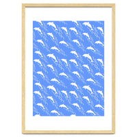 Swimming dolphins