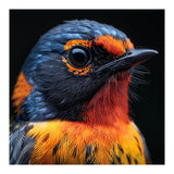 Vibrant Bird With Orange And Blue Plumage (Print Only) thumbnail