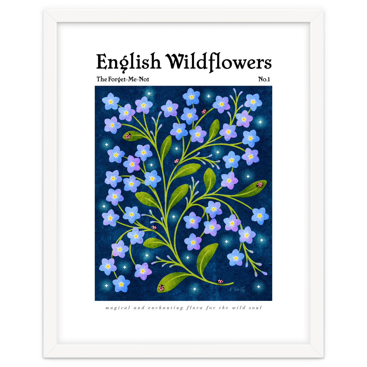 English Wildflowers | Forget-Me-Not